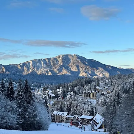 Pine Peak Predeal