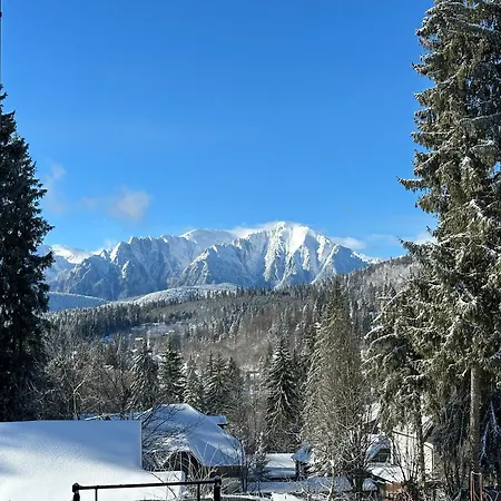 Pine Peak Apartment