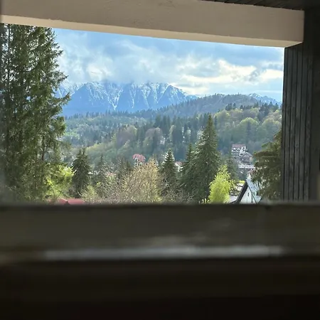 Apartment Pine Peak