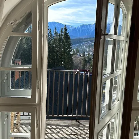 Pine Peak Predeal