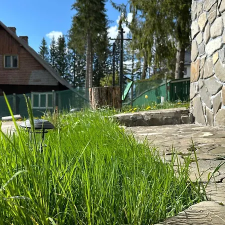 Pine Peak Predeal