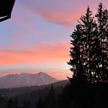 Pine Peak * Predeal