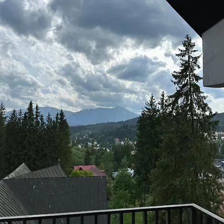 Pine Peak Apartment